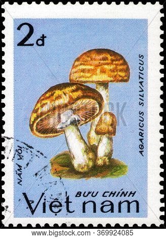 Saint Petersburg, Russia - May 31, 2020: Postage Stamp Issued In The Vietnam With The Image Of The F