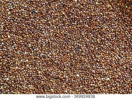 Closeup On Red Quinoa Seeds - Food Texture Or Background