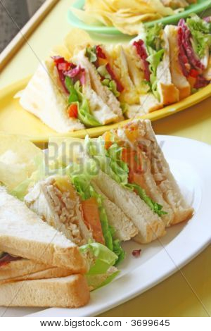 Group Of Cut Toasted Sandwiches