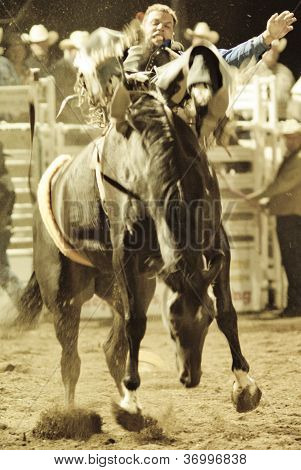 Rodeo