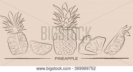 Vintage Pineappels Set, Great Design For Any Purposes.