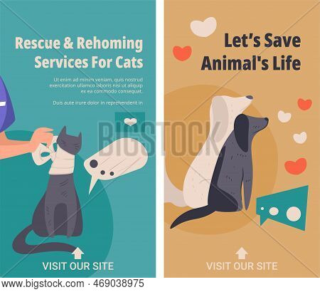 Rescue And Rehoming Services For Cats, Banners