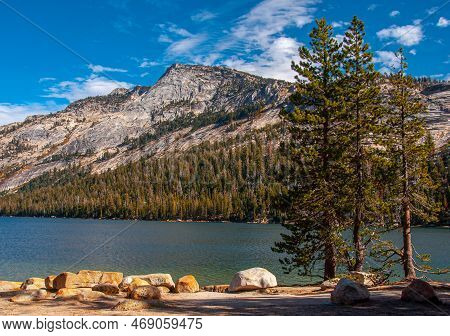 A Beautiful View Of The Crisp Waters Of Tenaya Lake In Yosemite National Park Beneath Rocky Mountain