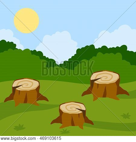 Stump In Forest Meadow. Green Field With Grass. Background For Child Drawing. Summer Nature. Funny S
