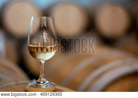 Tasting Of Rioja Wines, Visit Of Winery Cellars With French Or American Oak Barrels With Agening Red