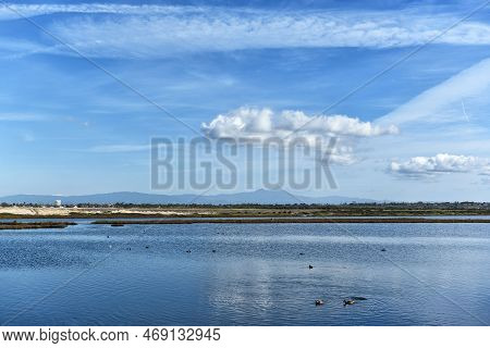 The Bolsa Chica Ecological Reserve, The Largest Saltwater Marsh Along The Coast Of California, With 