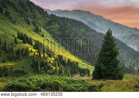 Almaty Mountain Summer Landscape In Mountain Ridge Alatau, Kazakhstan - Nature Of Central Asia, Kima
