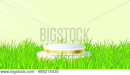 Cylinder Golden Podium In Green Background With Grass. 3D Stage Podium Display Product. Gold Podium