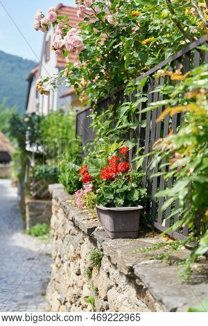 Geraniums As Decoration On A Wall In Picturesque Duernstein In Austria
