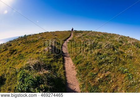 Point Reyes, United States - March 03, 2012 : A Truely Special Place Where The San Andreas Vault Lin