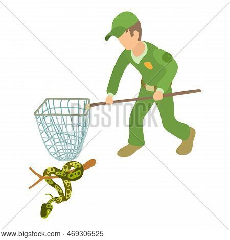 Tree Python Icon Isometric Vector. Man In Uniform With Landing Net Near Python. Reptile Capture, Her