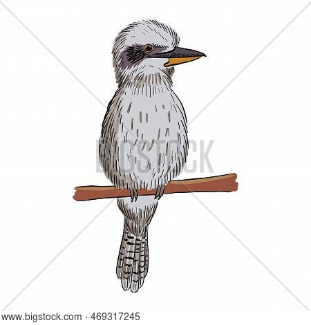 Vector Drawing Sketch Of Bird, Laughing Kookaburra , Dacelo Novaeguineae, Hand Drawn Songbird, Isola