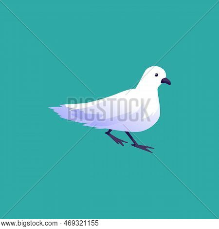 Snow Petrel Bird Drawing, Flat Vector Illustration Isolated On Green Background.