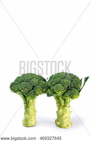 Fresh Broccoli Isolated On White Background. Clipping Path Included