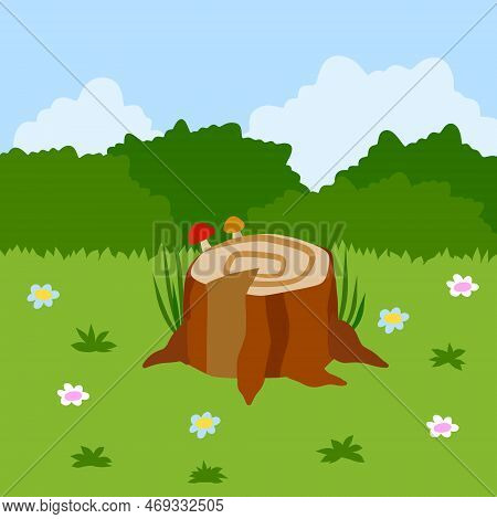 Stump In Forest Meadow. Green Field With Grass. Background For Child Drawing. Summer Nature. Funny S