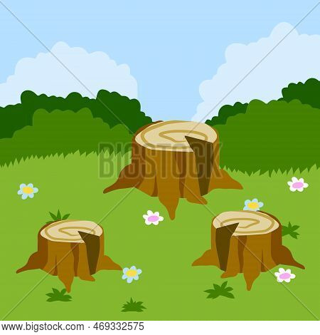 Stump In Forest Meadow. Green Field With Grass. Background For Child Drawing. Summer Nature. Funny S