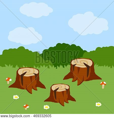 Stump In Forest Meadow. Green Field With Grass. Background For Child Drawing. Summer Nature. Funny S
