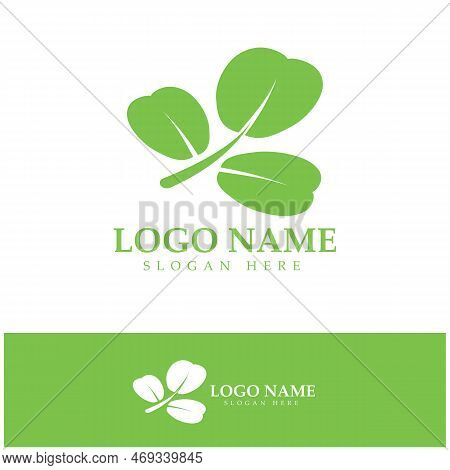 Green Moringa Leaf Logo, For Herbal Ingredients, Moringa Farming, Health, Medicine Industry, Beauty,