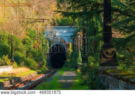 Old Electrified Railway Tracks And Tunnel Forest