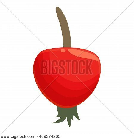 Food Rosehip Icon Cartoon Vector. Forest Fruit. Organic Vitamin
