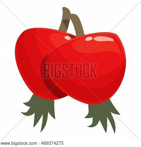 Organic Rosehip Icon Cartoon Vector. Berry Food. Ripe Wild