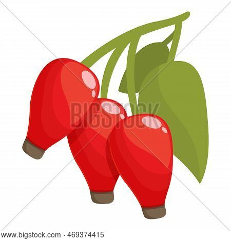 Juice Roseship Icon Cartoon Vector. Berry Food. Organic Vitamin
