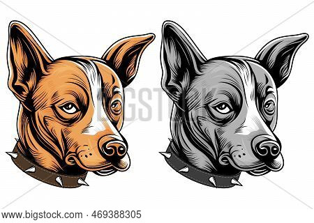 Abstract Dog Face Collection - Dog Portrait Vector - Pet Illustration