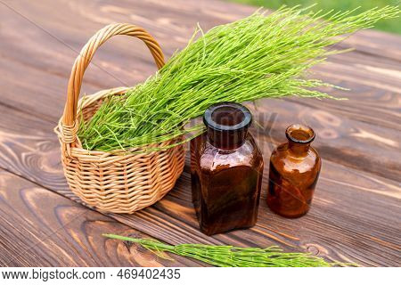 Fresh Horsetail Sprouts In A Basket Collected For The Preparation Of Elixirs. Medical Jars With Tinc