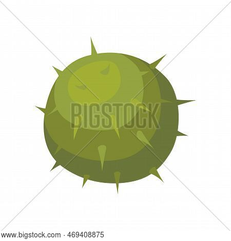 Chestnut In Shell Isolated On White Background. Chestnut Vector Illustration. Nature, Food, Autumn C