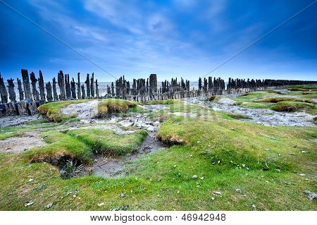 Pobřeží moře při odlivu, Friesland, Nizozemsko