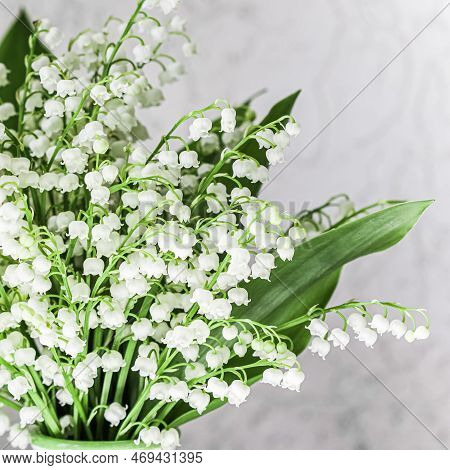 Bouquet Of May Lilies Of The Valley On A White Background