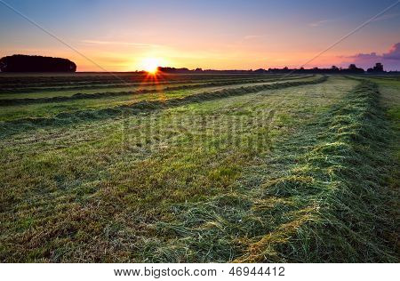 พระอาทิตย์ขึ้นเหนือ Haymaking สีเขียว