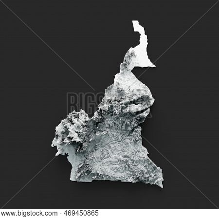 Cameroon Map And Flag 3d Topographic Map 3d Illustration