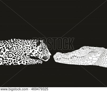 Negative Black And White Illustration American Jaguar Latin Panthera Onca And Crocodile Latin Crocod