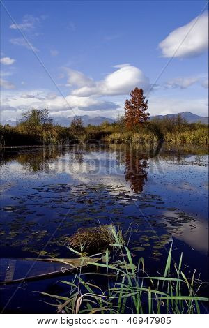 Boat Fall Down Autumn Lake
