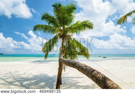 White Tropical Beach With Turquoise Colored Ocean Anse Volbert Beach Praslin Seychelles Islands.
