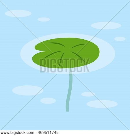 Cartoon Lily Pad