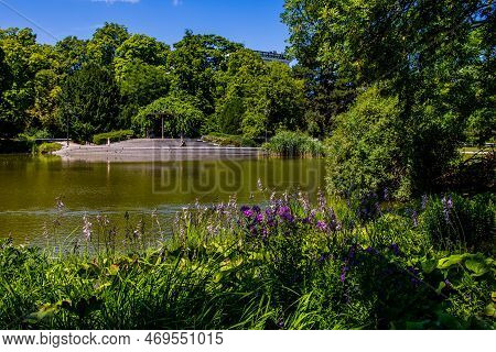 Beautiful Summer Landscape With A Pond Saski Garden Warsaw Poland Green Trees Warm Day