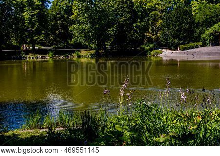 Beautiful Summer Landscape With A Pond Saski Garden Warsaw Poland Green Trees Warm Day