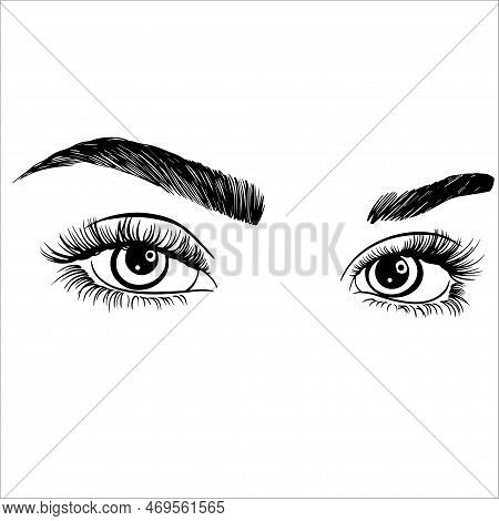 Illustration With Female Eyes, Eyelashes And Eyebrows. Realistic Sexy Makeup. Tattoo Design. Logo Fo