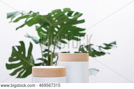 Empty Wood Podium On Green Grass Monstera Tropical Forest Plant On White Background.cosmetics And Mo