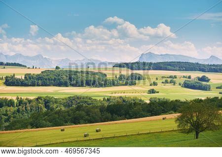 Beautiful Summer Landscape With Bright Green Fields, Canton Of Vaud, Switzerland