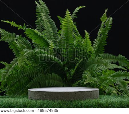 Concrete Table Top Podium On Green Grass Fern Forest Jungle Black Background.cosmetics And Moisture 