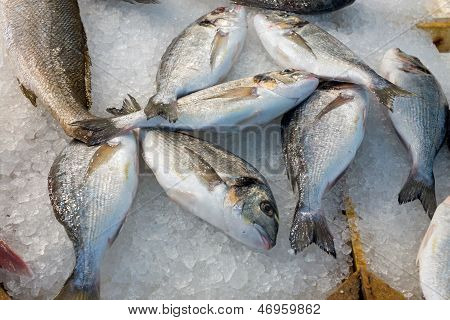 Fisk på markedet