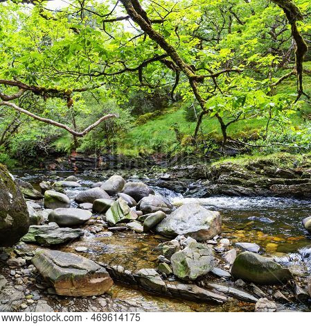 Wonderful Natural Landscape At Strone Hill Forestry, Scotland