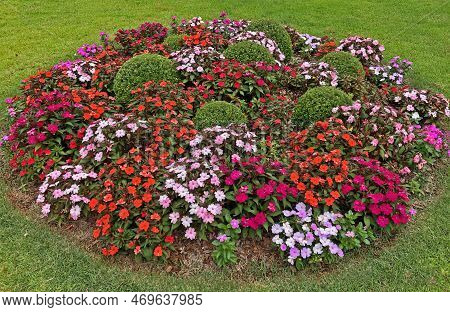 Beautiful Colorful Outdoor Garden Flowerbed With Green Grass