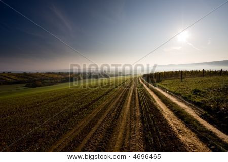 Mattina In campagna