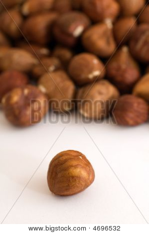 Skořápkové ovoce