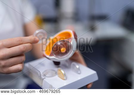 Optometry Lens Examination. Eyesight Hospital Equipment.