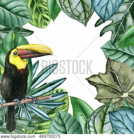 Watercolor Drawing Toucan Bird And Green Tropical Leaves, Hand Drawn Illustration, Jungle Background